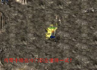 ��������Щ����ְҵֵ��һ�ԣ�