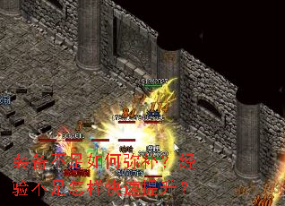 װ����������ֲ������鲻����������������