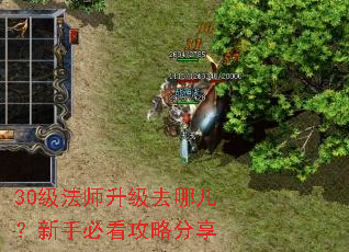 30����ʦ����ȥ�Ķ������ֱؿ����Է���