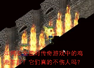 ��ΰ�ȫӦ�Դ�����Ϸ�еļ�¹��Ⱥ��������Ĳ�������