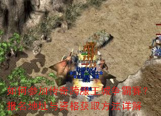 ��βμӴ�����������������������ַ���ʸ��ȡ�������