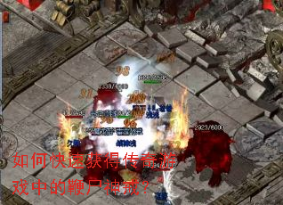 ��ο��ٻ�ô�����Ϸ�еı�ʬ��䣿