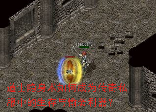 ��ʿ��������γ�Ϊ����˽���е�������͵Ϯ������