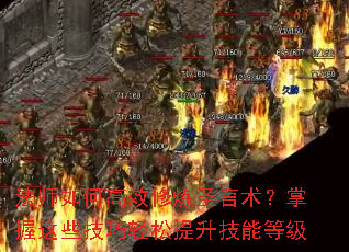 ��ʦ��θ�Ч����ʥ������������Щ���������������ܵȼ�