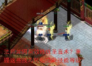 ��ʦ��θ�Ч����ʥ������������Щ���������������ܵȼ�