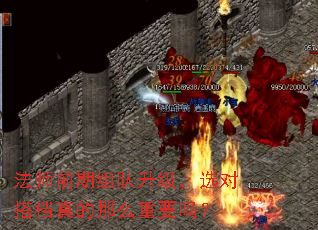 法师前期组队升级,选对搭档真的那么重要吗? 法师前期组队升级,选对搭档真的那么重要吗?