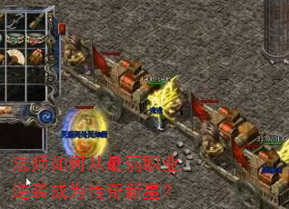 ��ʦ��δ�����ְҵ��Ϯ��Ϊ�������ǣ�