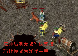 ��ʦ�����޵У���Щ���������Ϊս������