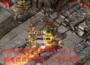 ��Ҷ����˽����ο������֣������ٳɹ��Դ�����㵽Ӣ��