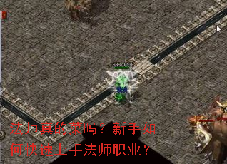 ��ʦ��Ĳ���������ο������ַ�ʦְҵ��