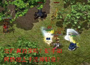 ��ʦ��Ĳ���������ο������ַ�ʦְҵ��