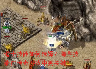 ��ʿ�������ѡ����Щ�����ڴ�����Ϸ�и��ؼ���