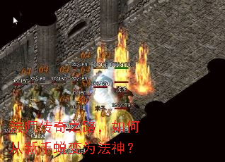 法师传奇之路,如何从新手蜕变为法神? 法师传奇之路,如何从新手蜕变为法神?