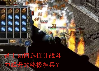 ��ʿ���ѡ����ս����������ռ������