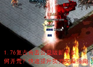 1.76���źϻ������������ο��ģ���������ʵ��ʵ��ָ��