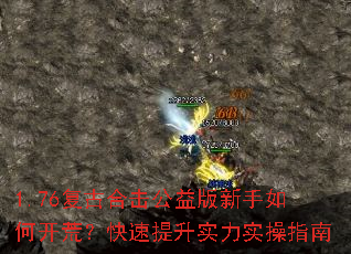 1.76���źϻ������������ο��ģ���������ʵ��ʵ��ָ��