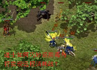 ��ʿ����������ö����ʵ��Զ������ս��