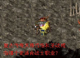 ���Ŵ��������ָ��ʥս��ָ�ĸ����ʺ�սʿְҵ��