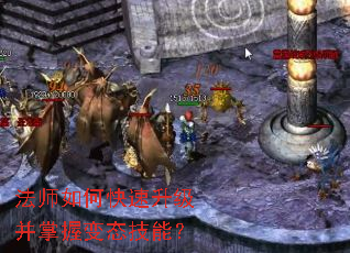 ��ʦ��ο������������ձ�̬���ܣ�