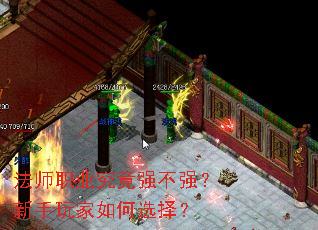 ��ʦְҵ����ǿ��ǿ������������ѡ��