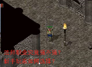 ��ʦְҵ����ǿ��ǿ������������ѡ��