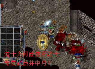 ��ʿΪ����ʹ��սʿר�����������£�