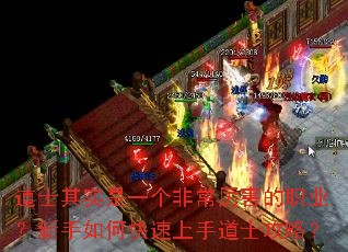 ��ʿ��ʵ��һ���ǳ�������ְҵ��������ο������ֵ�ʿ���ԣ�