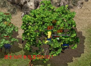 ��ʿ��ε�����ǿBOSS��