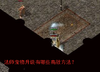 ��ʦ������������Щ��Ч������