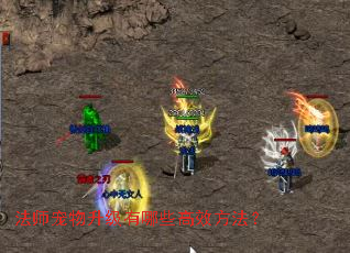 ��ʦ������������Щ��Ч������