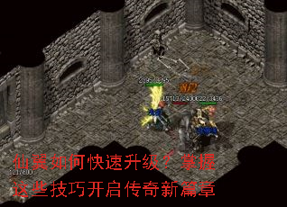 ������ο���������������Щ���ɿ���������ƪ��