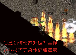 ������ο���������������Щ���ɿ���������ƪ��