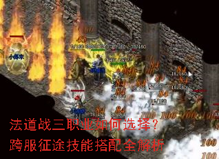 ����ս��ְҵ���ѡ�񣿿����;���ܴ���ȫ����