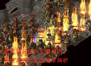 ��ʦ������ָ��λ�ã����Լӳ���ʵսЧ������