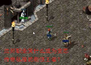 ��ʦְҵƾʲô��Ϊ��̬����˽����ˢ�����ߣ�