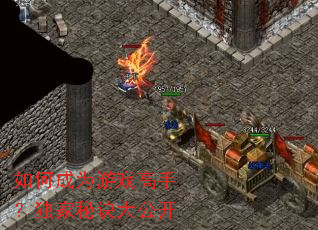 ��γ�Ϊ��Ϸ���֣������ؾ��󹫿�