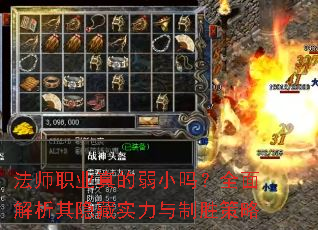 ��ʦְҵ�����С��ȫ�����������ʵ������ʤ����