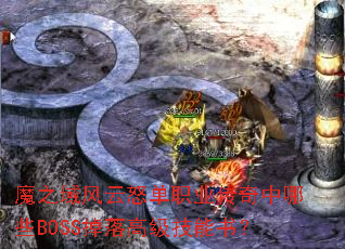 ħ֮�����ŭ��ְҵ��������ЩBOSS����߼������飿