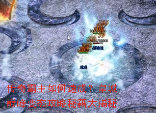 �����������ٳɣ��ʳ��۷��̬�����ؼ������