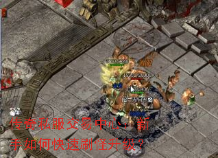传奇私服交易中心:新手如何快速刷怪升级? 传奇私服交易中心:新手如何快速刷怪升级?