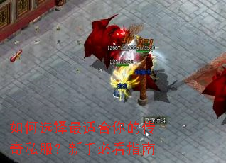 ���ѡ�����ʺ���Ĵ���˽�������ֱؿ�ָ��