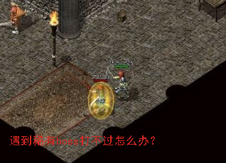 遇到稀有boss打不过怎么办? 遇到稀有boss打不过怎么办?