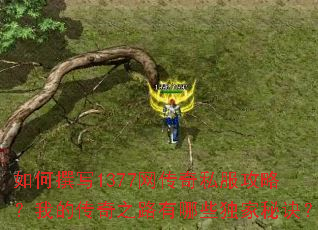 如何撰写1377网传奇私服攻略?我的传奇之路有哪些独家秘诀? 如何撰写1377网传奇私服攻略?我的传奇之路有哪些独家秘诀?