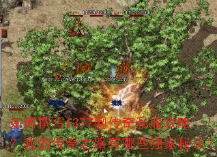 如何撰写1377网传奇私服攻略?我的传奇之路有哪些独家秘诀? 如何撰写1377网传奇私服攻略?我的传奇之路有哪些独家秘诀?