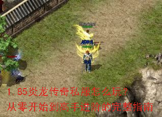 1.85炎龙传奇私服怎么玩?从零开始到高手进阶的完整指南 1.85炎龙传奇私服怎么玩?从零开始到高手进阶的完整指南