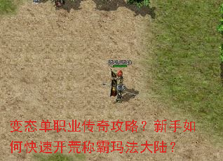 变态单职业传奇攻略?新手如何快速开荒称霸玛法大陆? 变态单职业传奇攻略?新手如何快速开荒称霸玛法大陆?