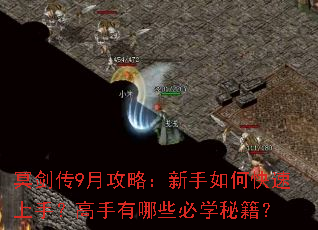 冥剑传9月攻略:新手如何快速上手?高手有哪些必学秘籍? 冥剑传9月攻略:新手如何快速上手?高手有哪些必学秘籍?