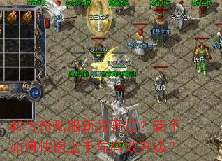 45传奇私服新服开启?新手如何快速上手与高效升级? 45传奇私服新服开启?新手如何快速上手与高效升级?