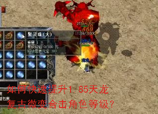 如何快速提升1.85天龙复古微变合击角色等级? 如何快速提升1.85天龙复古微变合击角色等级?