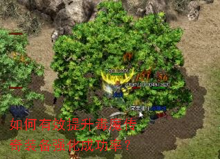 如何有效提升毒魔传奇装备强化成功率? 如何有效提升毒魔传奇装备强化成功率?